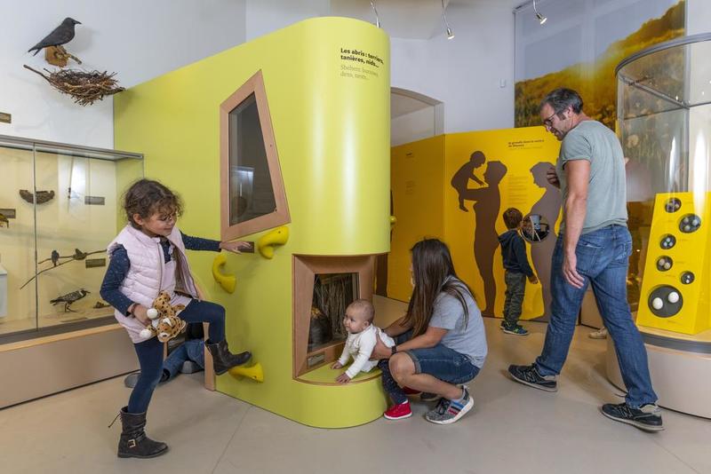 The Early years Museum is a space devoted to children under the age of six. In this space of the Museum of natural history of Bordeaux – Science and nature, they can discover the semi-permanent exhibition all babies.