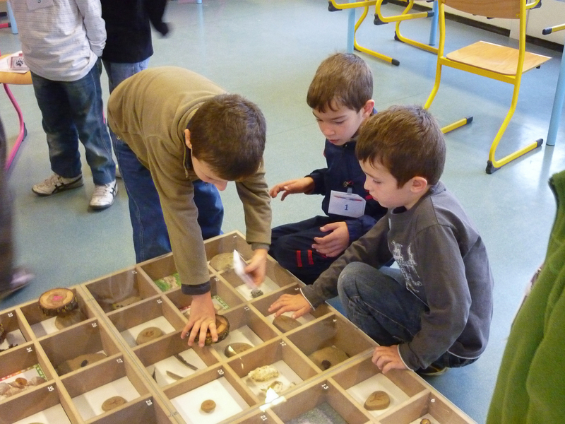 Le Muséum d'histoire naturelle de Bordeaux - sciences et nature propose cet été des ateliers pour les enfants.  