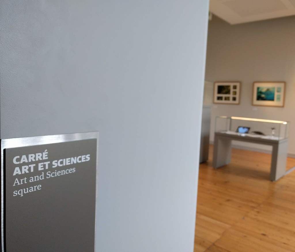Au Muséum de Bordeaux - sciences et nature, découvrez l'exposition sur le dessin scientifique et les animaux.