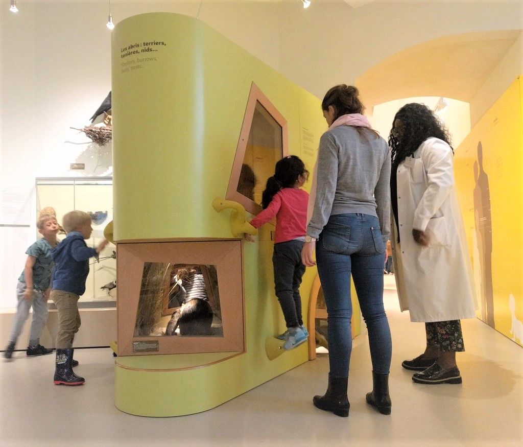 La muséographie du Musée des Tout-petits est complètement adaptée aux enfants de moins de six ans. Au Musée de Bordeaux - sciences et nature, ils découvrent une exposition sur Tous les bébés