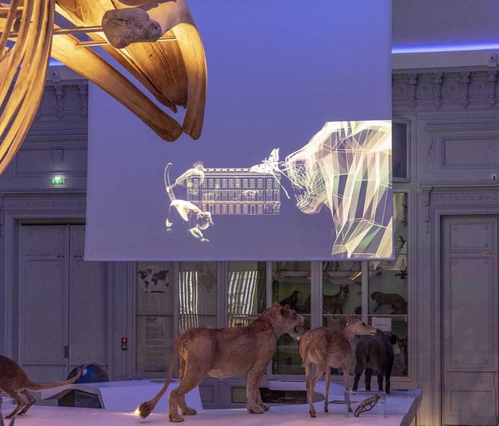 Discover the adress of the Museum of Bordeaux – science and nature. The multimedia show offer to all the comprehension keys of the permanent exhibition the nature seen by men. This is a supplement in your visit at the museum of natural history of Bordeaux.