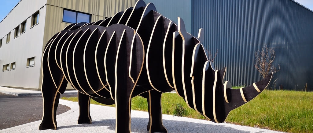 Le Musée d'histoire naturelle de Bordeaux - sciences et nature a lancé en 2019 sa première levée de fonds pour naturaliser Kata Kata un rhinocéros noir