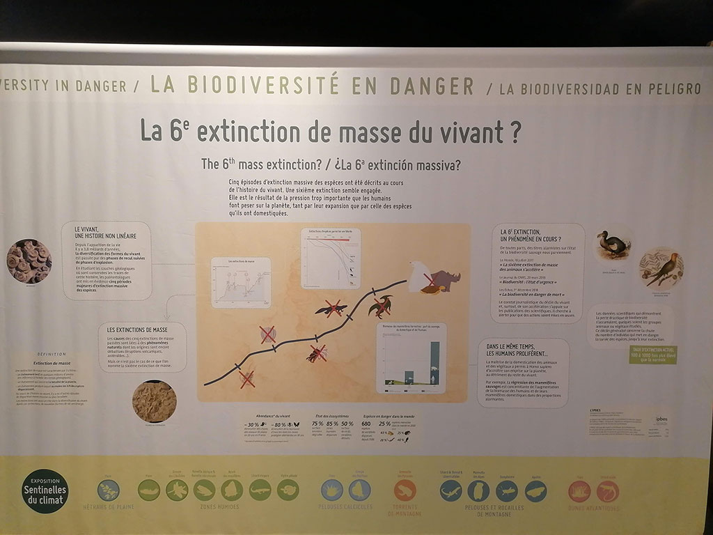 Sentinelles du climat est la nouvelle exposition du Muséum de Bordeaux - sciences et nature