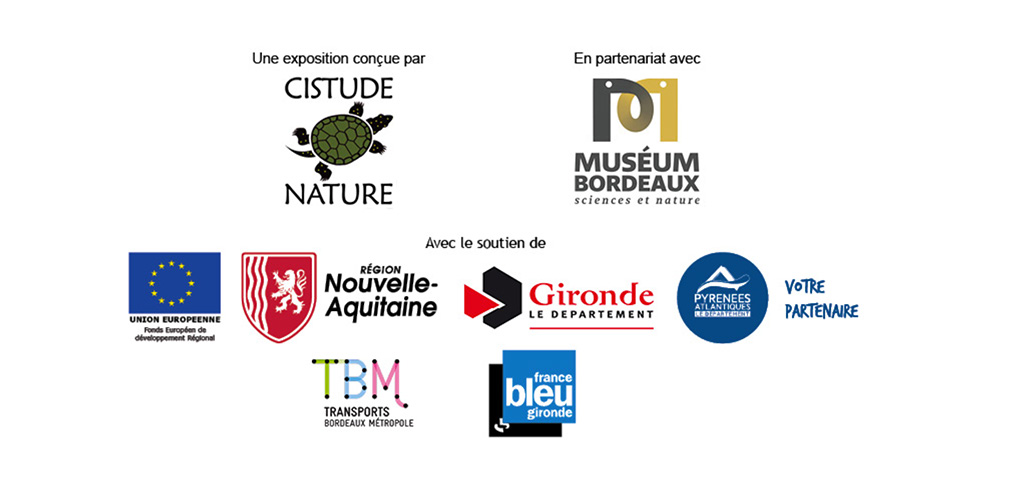 Les partenaires du Muséum d'histoire naturelle et de l'association Cistude nature pour l'exposition Sentinelles du climat