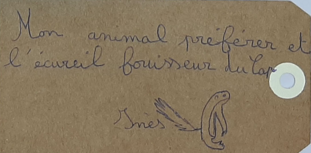 Le livre d'or du Muséum d'histoire naturelle - sciences et nature et de l'exposition Afrique, savane sauvage