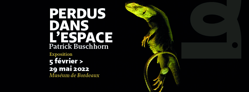 L'exposition Perdus dans l'espace est à découvrir dès février au Muséum de Bordeaux - sciences et nature