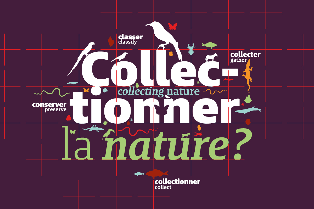 Le Muséum d'histoire naturelle de Bordeaux - sciences et nature propose une exposition sur les collections