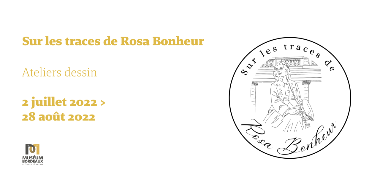 Exposition Sur les traces de Rosa Bonheur au Museum de Bordeaux - sciences et nature