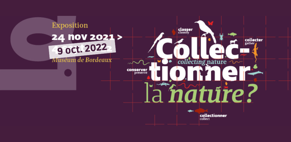 Collectionner la nature au Muséum de Bordeaux - sciences et nature