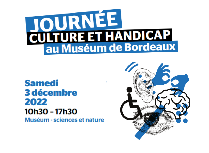 Journée culture et handicap au Muséum de Bordeaux - sciences et nature