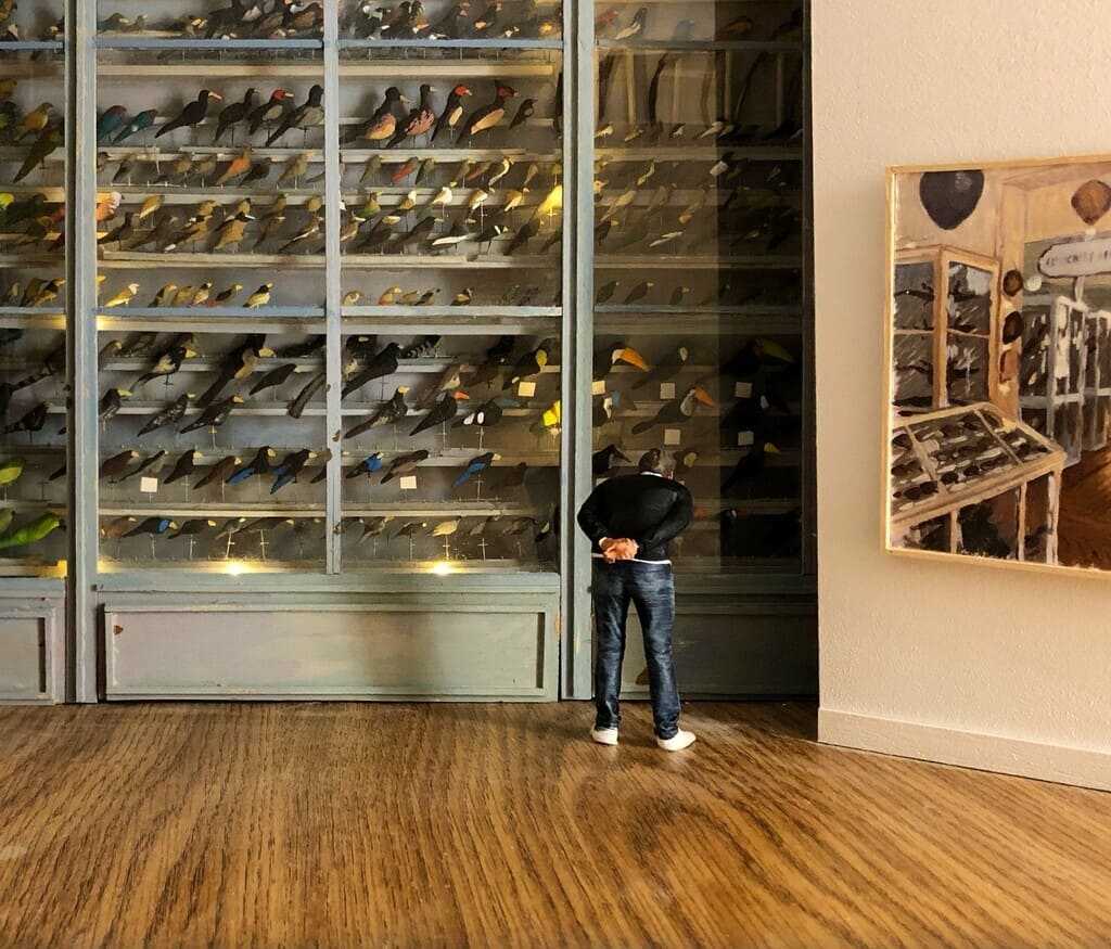 Un jeune homme observe l'intérieur d'une vitrine, suggérant un regard porté vers un passé révolu, vers une exposition qui s'est éloignée dans le temps.