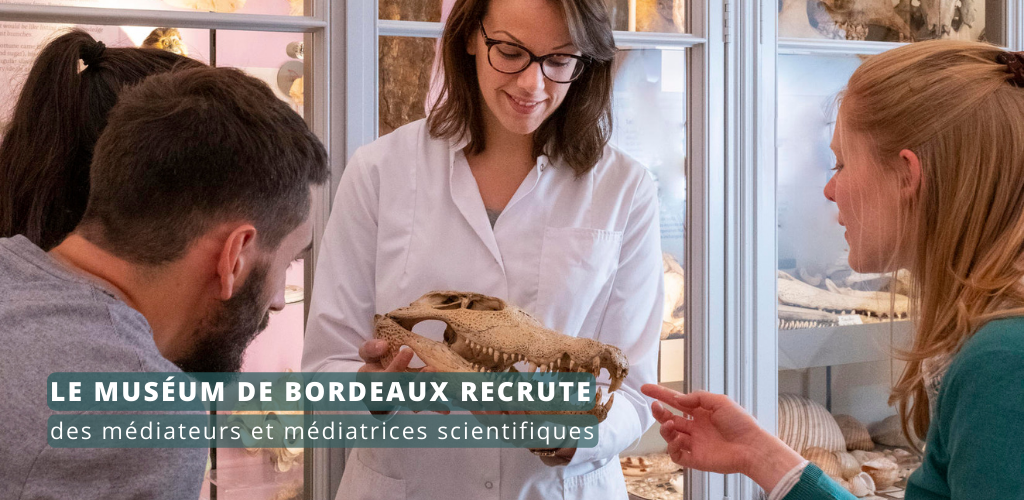 Le Muséum de Bordeaux - sciences et nature recrute des médiateurs et médiatrices scientifiques
