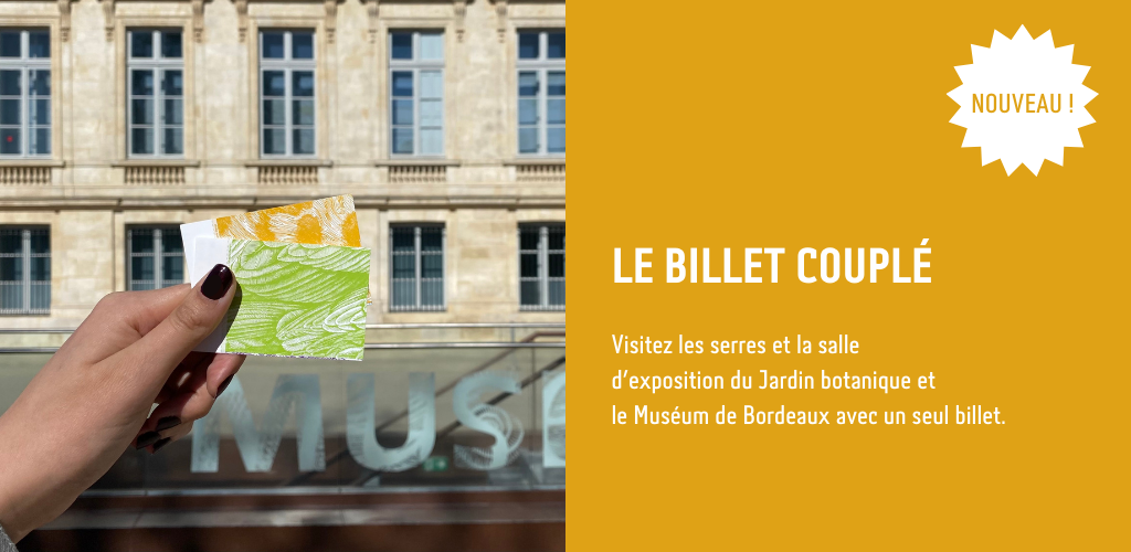 Billet couplé pour visiter le Muséum de Bordeaux - sciences et nature et le Jardin Botanique