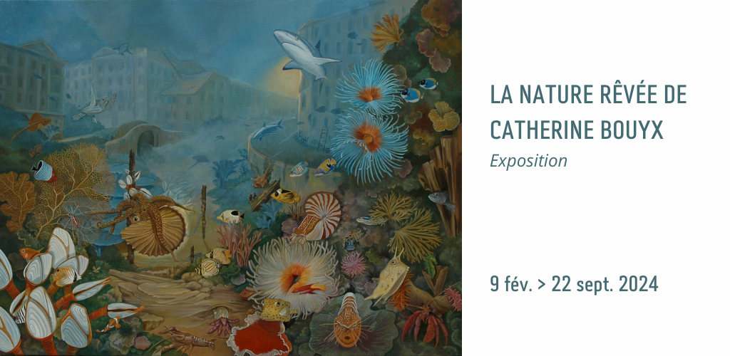 Exposition La nature rêvée de Catherine Bouyx au Muséum de Bordeaux - sciences et nature