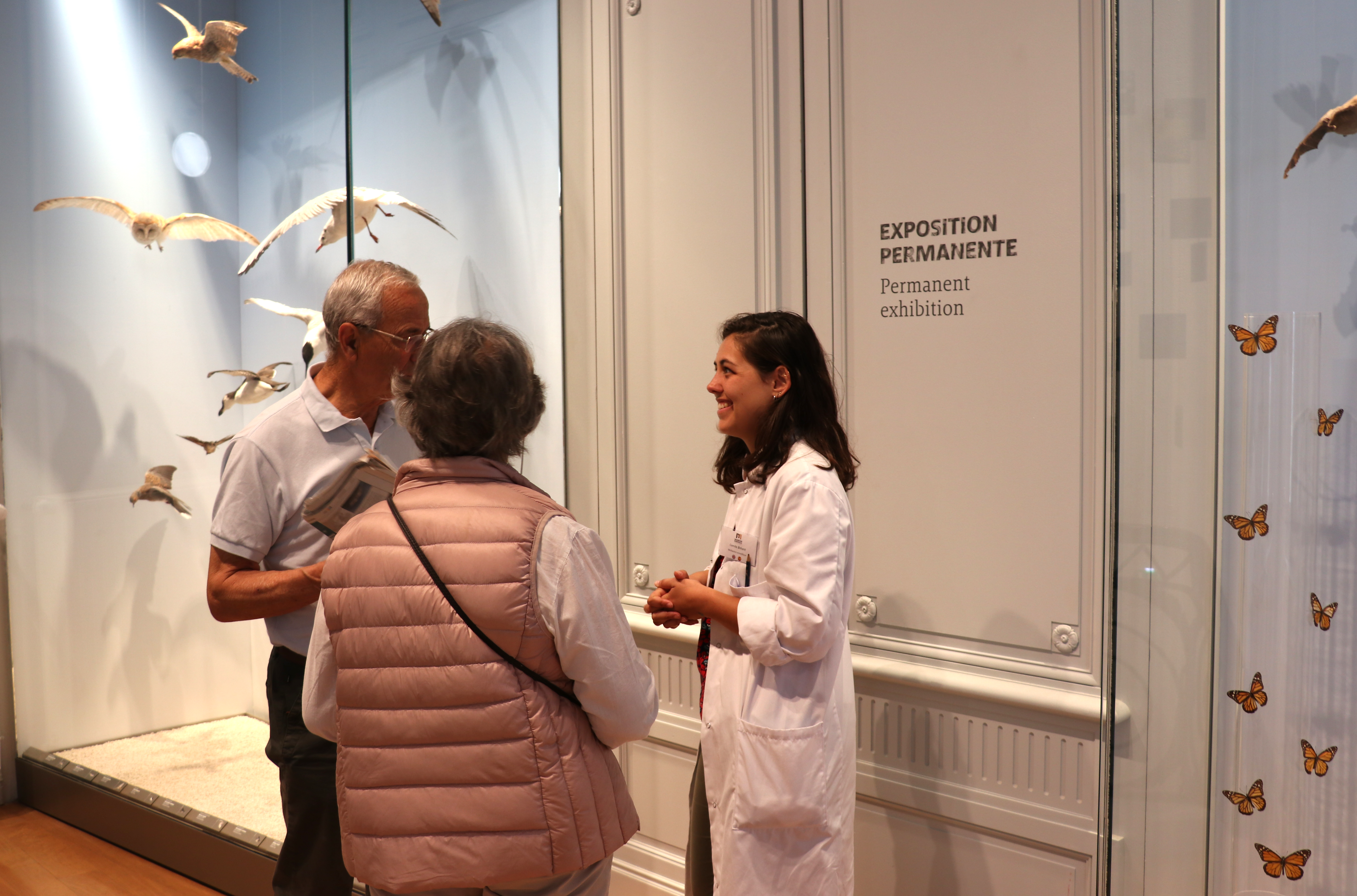 Rejoignez les équipes du Muséum de Bordeaux - sciences et nature